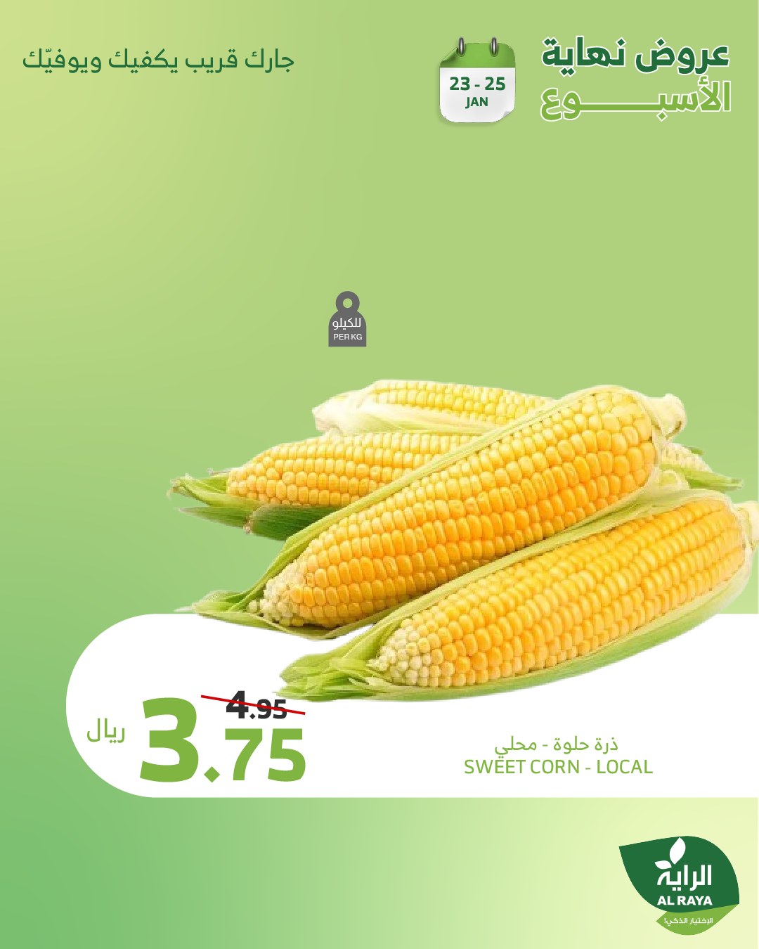 alraya offers from 1jan to 26jan 2025 عروض الراية من 1 يناير حتى 26 يناير 2025 صفحة رقم 14